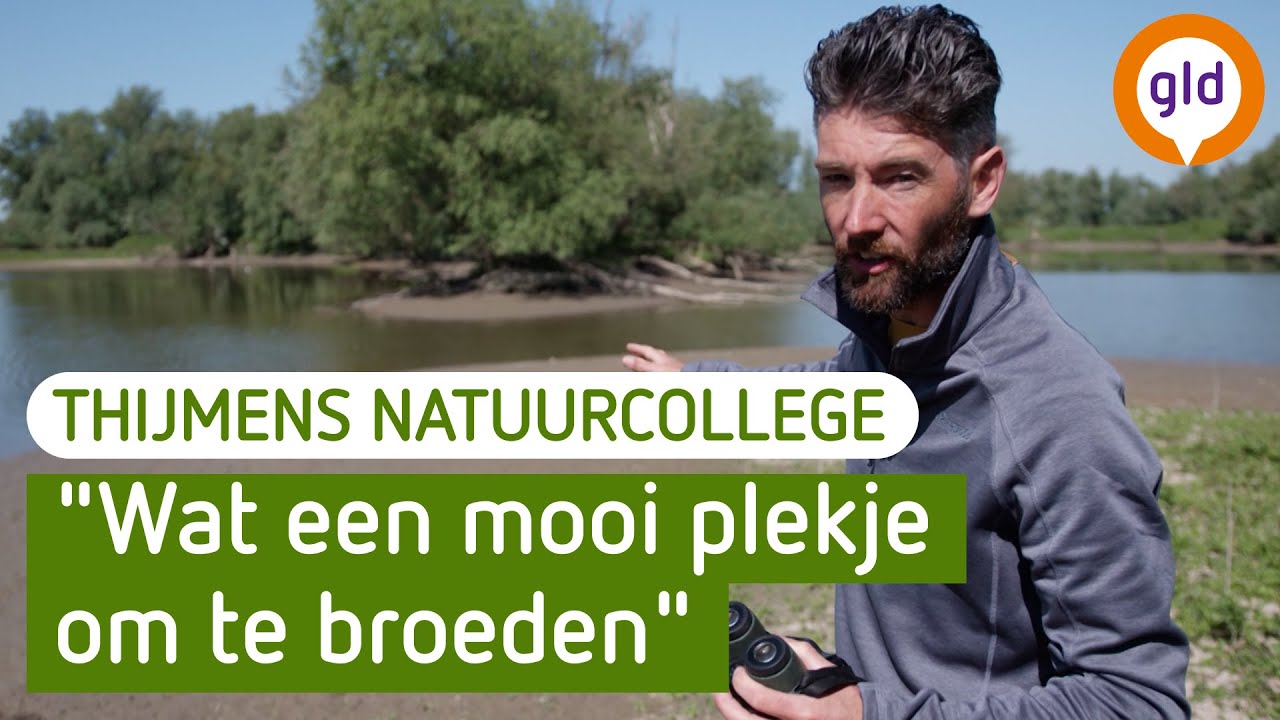 De blauwe reiger | Thijmens Natuurcollege | BuitenGewoon
