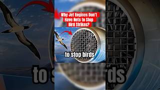 Why Jet Engines Don’t Have Nets to Stop Bird Strikes? 🛫
