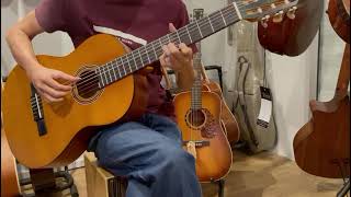Valencia Classical Guitar 4/4 Size  VC204