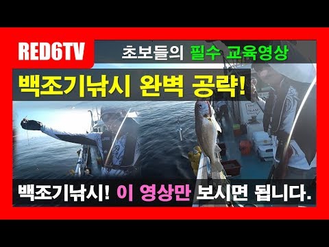 <strong>백조기낚시</strong> - 백조기 대박입니다~! [TALK TO FISH EP.14] (채비방법부터 운영방법, 후킹까지 총 정리)