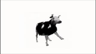 DANCING POLISH COW 1 HOUR VERSION