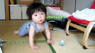 インコをおいかける #88, Ib...