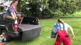 Protection/bitework training - Reacher