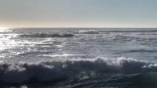 Oregon Coast 2019 Spring Break