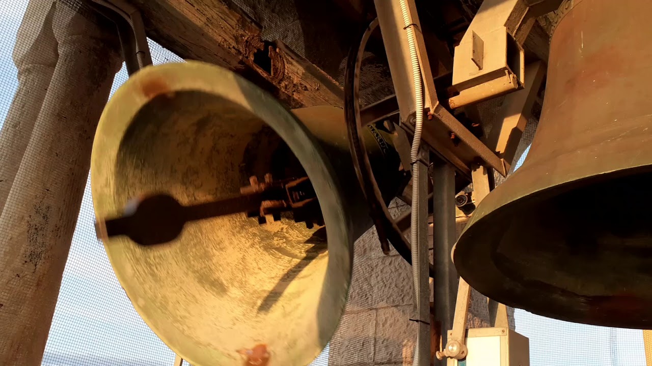 Campane di Cittanova-zvonovi v Novigrad