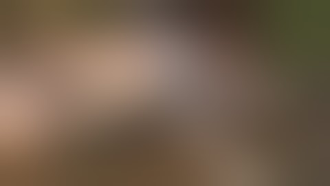 FailArmy TOP - Best Fails of the Week 2 December 2013