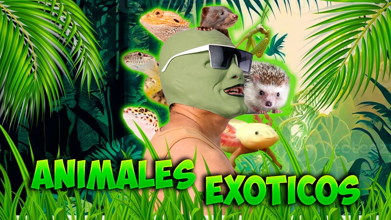 INSECTOS LA ARTROTHECA!!🕷️🐛🦋 | EXPERIENCIA COMPLETA | NAJASOR