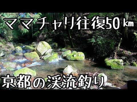 渓流 釣り 京都