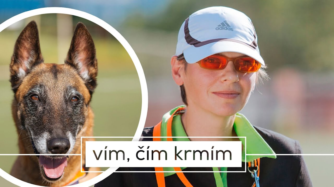 POSLEPU – Vodicí a asistenční psi