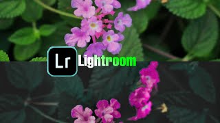 Lightroom photo editing on Mobile ll Lightroom ll screenshot 4
