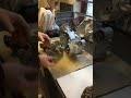 Vespa Zirri wo ist der Siri Teil 0