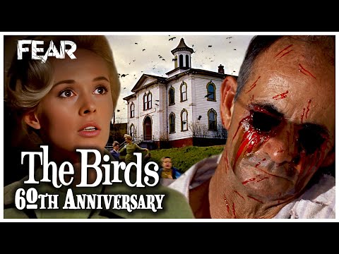 The Birds At 60 Revisiting An Alfred Hitchcock Classic Fear