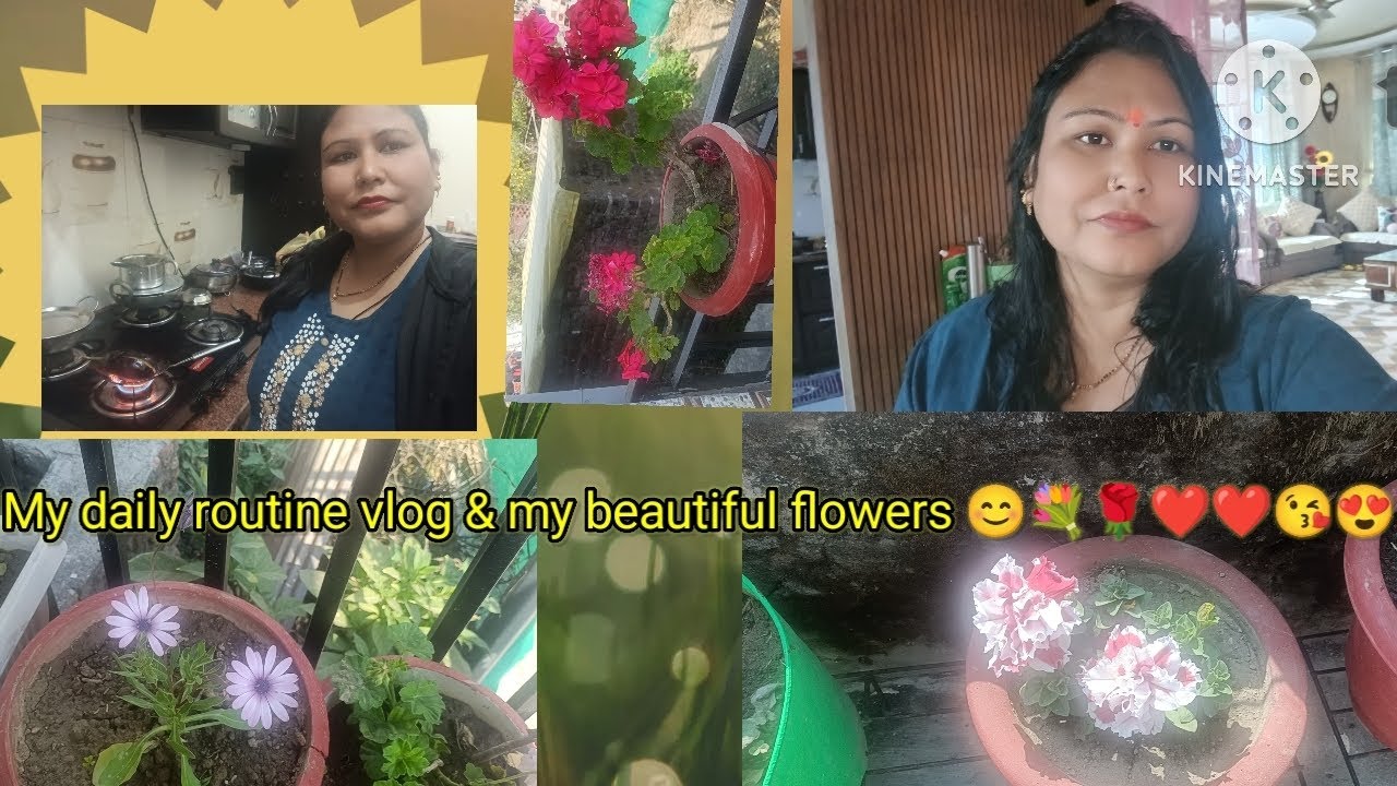 My daily routine vlog & my beautiful flowers || Surgeet Vlogs || 💐🌹🌹❤️😘😍