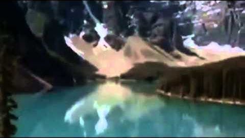 تلاوة مؤثرة من سورة آل عمران ~ من روائع الشيخ ناصر القطامي