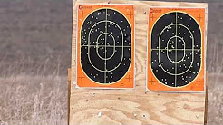 20 Gauge For Turkey?