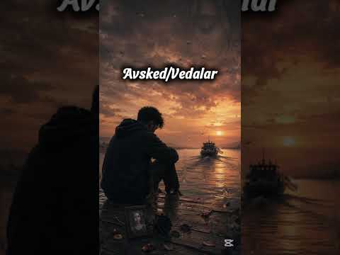 YLMZ- Avsked / Vedalar Official Audio
