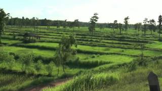 รายการคนไทยหัวใจเกษตร วันที่ 3 สิงหาคม 2558 B1 MPEG