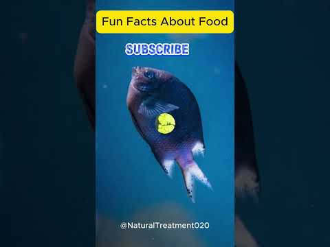 Fun Facts About Foods Shors Youtube Video Healthy