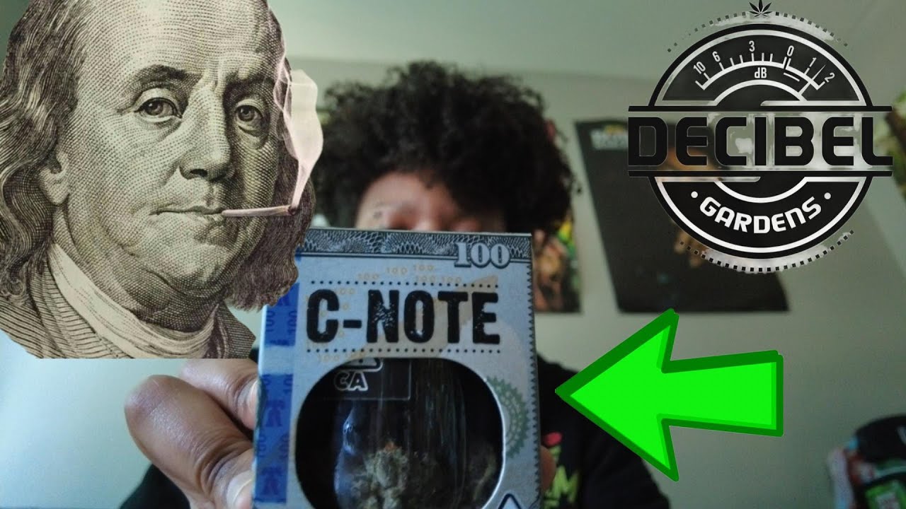 Trying Decibel Garden's C-Note!! (ft. rusty handpiece)