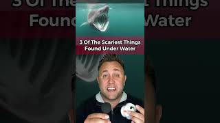 Famous 3 OF THE SCARIEST THINGS FOUND UNDER WATER Profile