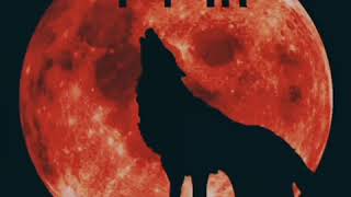 Qisa Status Mahnilari Mp4 2019