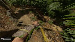 Green Hell - Caiman attack from above