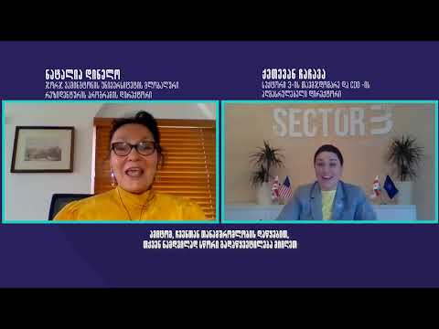 სექტორული ანალიზი | ნატალია დინელო