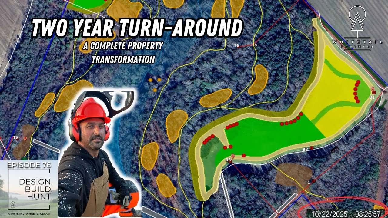 Двухлетний поворот: полная трансформация недвижимости