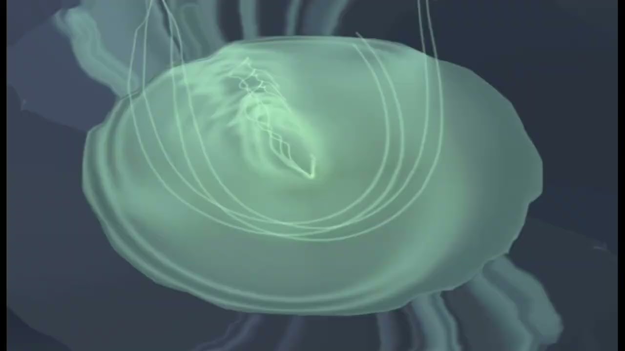 Experimental Vibes [158]