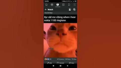 Nokia 1100 classic Ringtone