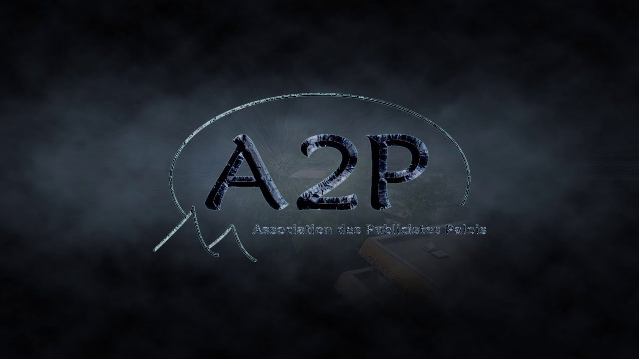 université france paris Teaser Journée d'Intégration des Publicistes Palois