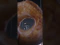 spotting blue moon inside donut#amsr #ytshort