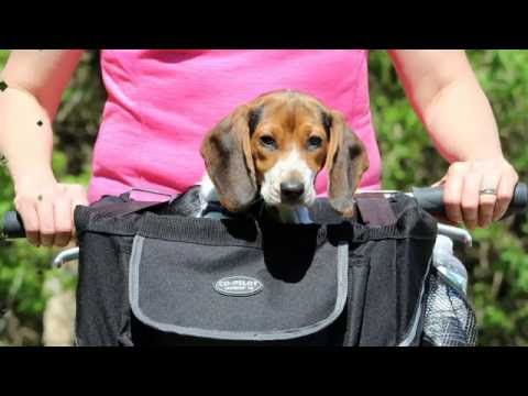 pet pilot max dog basket