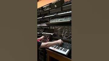 Mind if we drop some polymeters on your timeline? ⏰ #Moog #modular #analogsynth