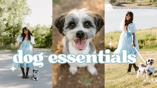 NEW DOG OWNER ESSENTIALS | my favourite dog products (ft. Pupnaps dog bed review)