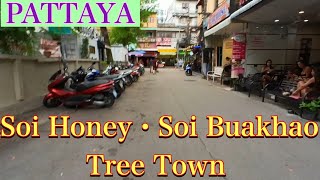 ??Pattaya Thailand / Soi Honey・Soi Buakhao・Tree Town  / Afternoon Scenes ソイハニー・ブアカオー・ツリータウンの様子