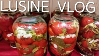 картинка: САМЫЕ  ВКУСНЫЕ  МАРИНОВАННЫЕ  ПОМИДОРЫ / ХОТЬ  100  БАНОК  ЗАКРОЮ  ВСЕ  УЛЕТЯТ