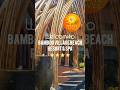 Wietnam lotem bezpośrednim, mamy dla Ciebie doskonałą ofertę‼ Hotel BAMBOO VILLAGE BEACH RESORT