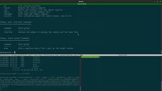 Famous Writing Meterpreter Commands with Python with R7's Spencer McIntyre Wealth
