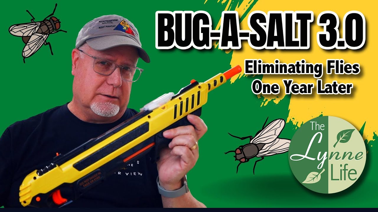 Reviewing The Bug A Salt 3.0 One Year Later - YouTube