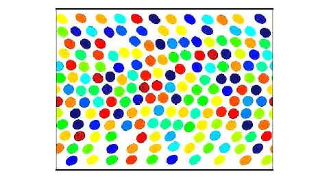 Channel flow of suspension of deformable particles.