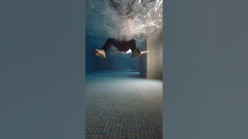 Lion Entering The Swimming Pool 2 0 Shorts 