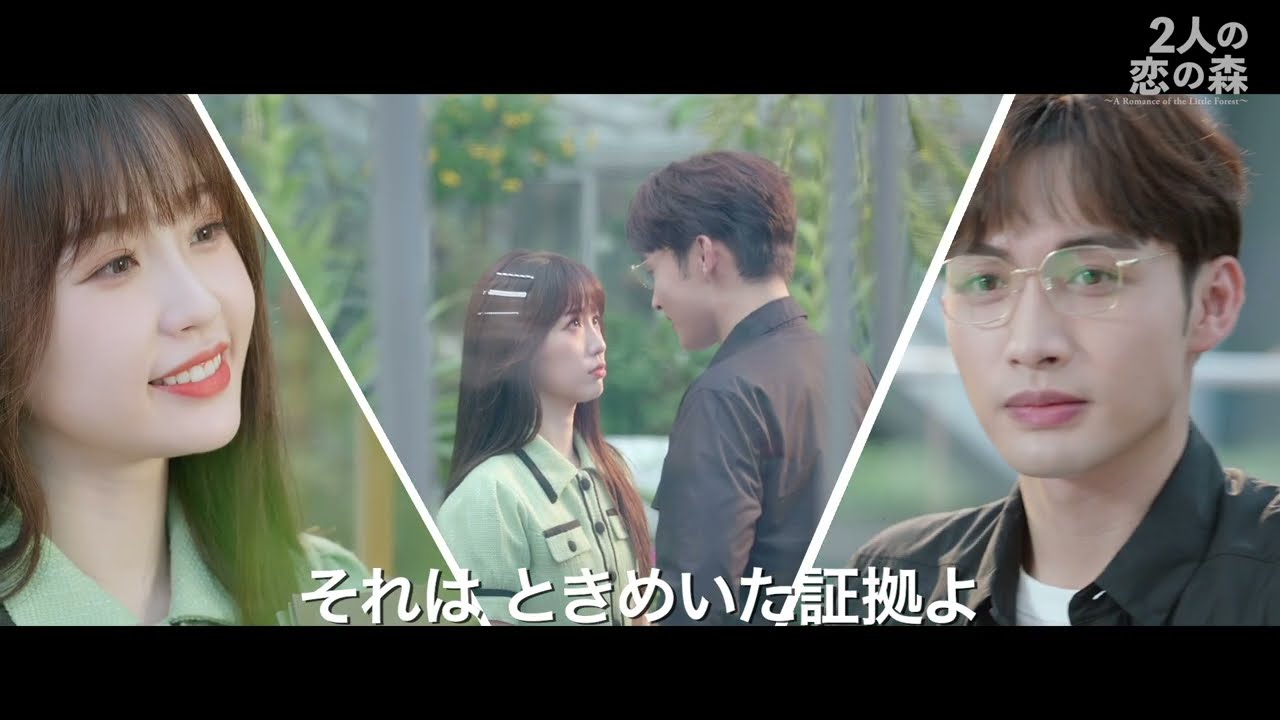 2人の恋の森 ～A Romance of the Little Forest～｜ドラマ公式サイト