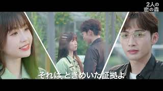 2人の恋の森 ～A Romance of the Little Forest～｜ドラマ公式サイト
