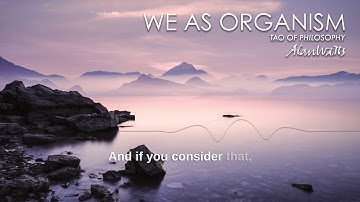 Alan Watts | Tao of Philosophy | (We As Organism excerpt)