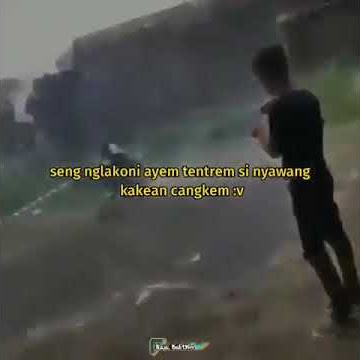 Story Wa Rx-King Dasar Cocote Tonggo