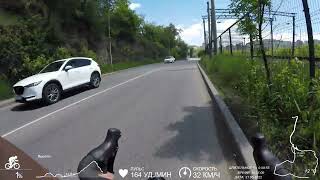 картинка: 31.05.2022 Владивосток. Прогулка на велосипеде. Русская - Луговая - Центр - Русская