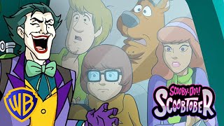 Scooby-Doo! and Krypto, Too! | FIRST 10 MINUTES! | @dckids @wbkids