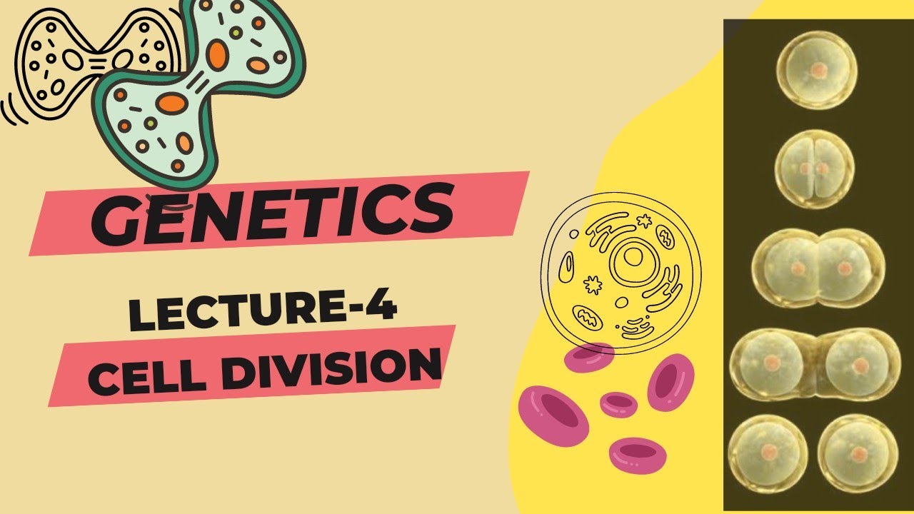 GENETICS | Lecture -4 Cell Division | Go Agro - YouTube