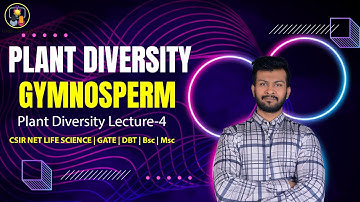 Plant Diversity | Gymnosperm | CSIR NET Life Science | Diversity Of Life Forms